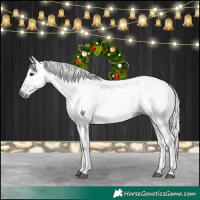 Horse Color:Gray Chestnut 