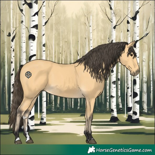 Horse Color:Buckskin