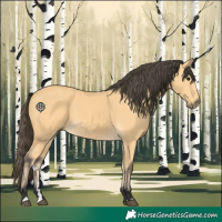 Horse Color:Buckskin 