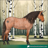 Horse Color:Bay Roan 