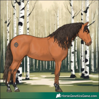 Horse Color:Bay 