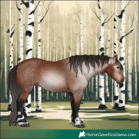 Horse Color:Gray Bay