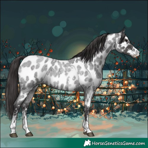 Horse Color:Smoky Blue Roan Sabino Near Leopard
