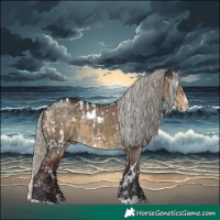 Horse Color:White Spotted Chocolate Silver Brown Dun Appaloosa  and White Spotted Silver Smoky Grullo Sabino Splash 