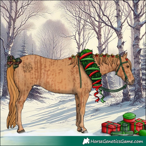 Horse Color:Chestnut  and Chestnut 