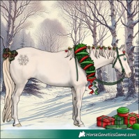 Horse Color:Perlino and Perlino