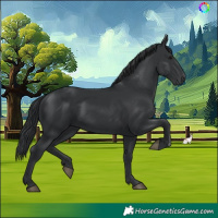 Horse Color:Black 