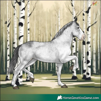 Horse Color:White Spotted Black Splash 