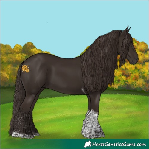 Horse Color:Liver Chestnut Tobiano