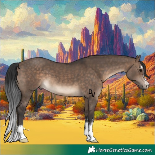 Horse Color:Brown Dun 