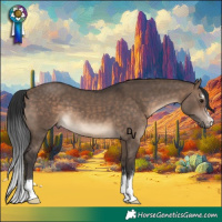 Horse Color:Brown Dun 