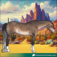 Horse Color:Brown Dun 