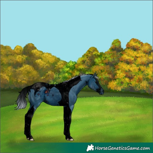 Horse Color:ERROR: UNKNOWN ANOMALY