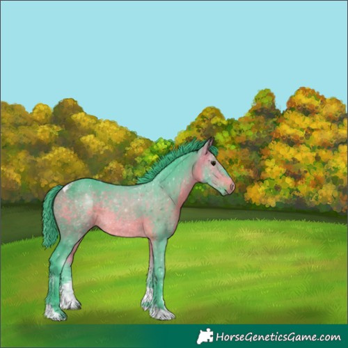 Horse Color:Watercolor Bay Sabino Tobiano 