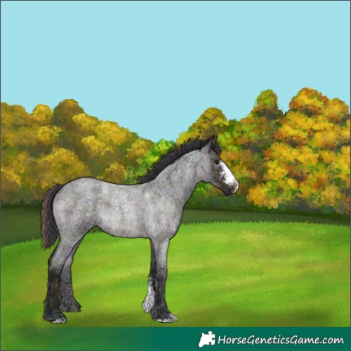 Horse Color:Plaid  Midnight Brown Ice Roan Sabino 
