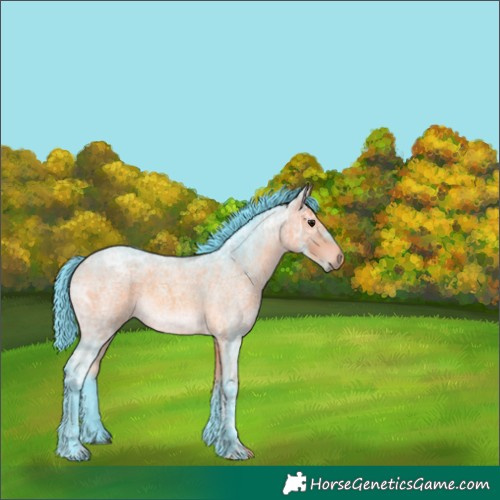 Horse Color:Watercolor Brown Ice Roan 