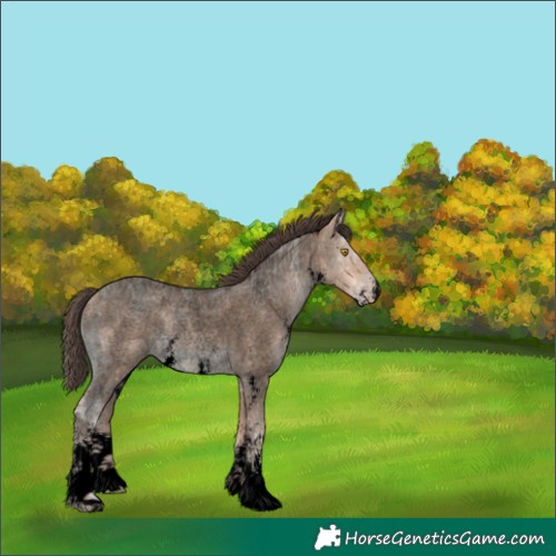 Horse Color:Void Amber Champagne Ice Roan Sabino 