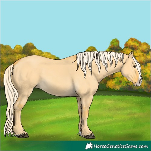 Horse Color:Palomino Dun Splash Frame 