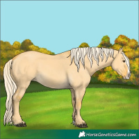 Horse Color:Palomino Dun Splash Frame 