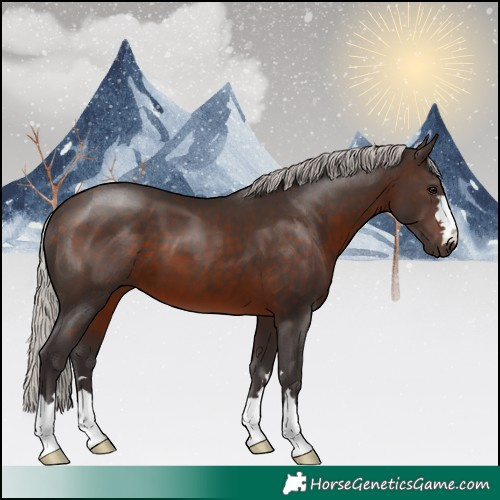 Horse Color:Silver Brown
