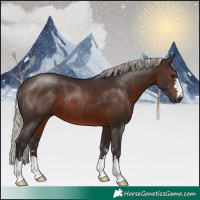 Horse Color:Silver Brown