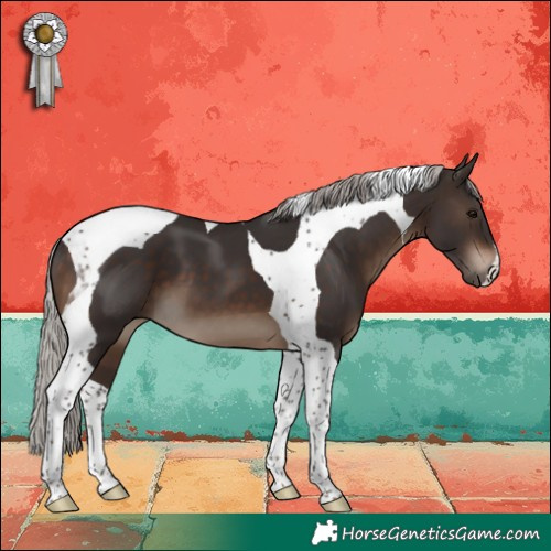 Horse Color:Silver Brown Tobiano