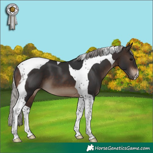 Horse Color:Silver Brown Tobiano 