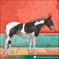 Horse Color:Silver Brown Tobiano 