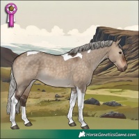 Horse Color:Silver Brown Dun Tobiano
