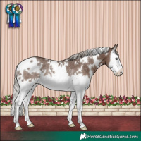 Horse Color:White Spotted Silver Black Splash Rabicano 
