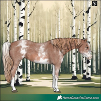 Horse Color:White Spotted Chestnut Sabino