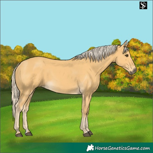 Horse Color:Palomino 