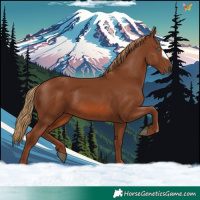 Horse Color:Chestnut Frame