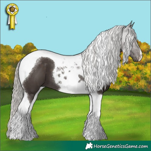 Horse Color:Silver Black Tobiano 