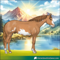 Horse Color:Chestnut Frame
