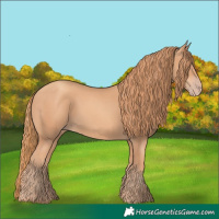 Horse Color:Gold Champagne 