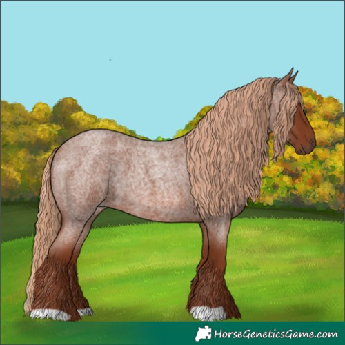 Horse Color:Red Roan