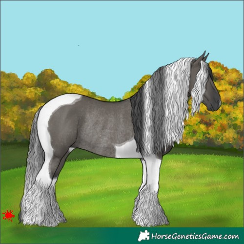 Horse Color:Grullo Tobiano Rabicano 