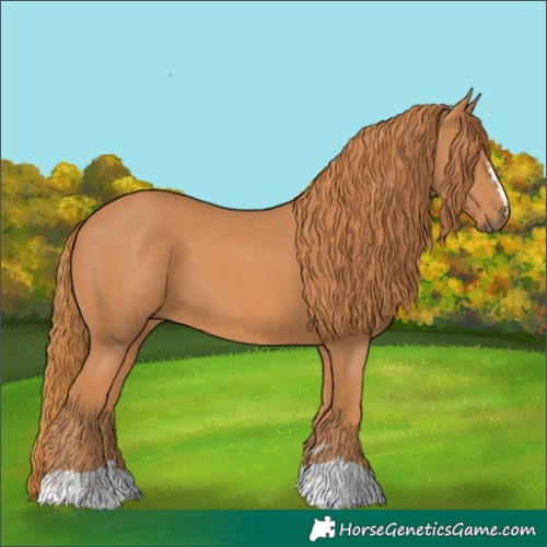 Horse Color:Chestnut 