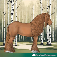 Horse Color:Chestnut Rabicano 