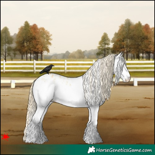 Horse Color:White Spotted Palomino Dun Appaloosa 