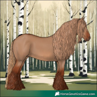 Horse Color:Red Dun 