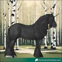 Horse Color:Black 