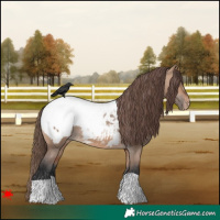 Horse Color:Bay Dun Near Fewspot 