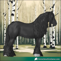 Horse Color:Black 