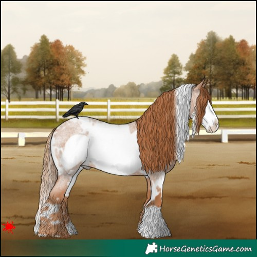 Horse Color:White Spotted Red Roan Frame 