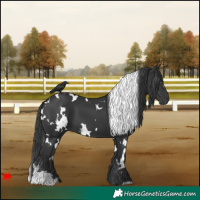 Horse Color:White Spotted Black 
