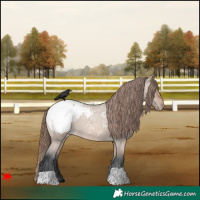 Horse Color:Brown Roan Dun Varnish 