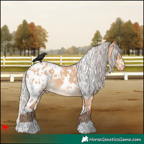 Horse Color:White Spotted Silver Bay Dun Blanket 