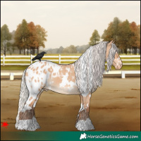 Horse Color:White Spotted Silver Bay Dun Blanket